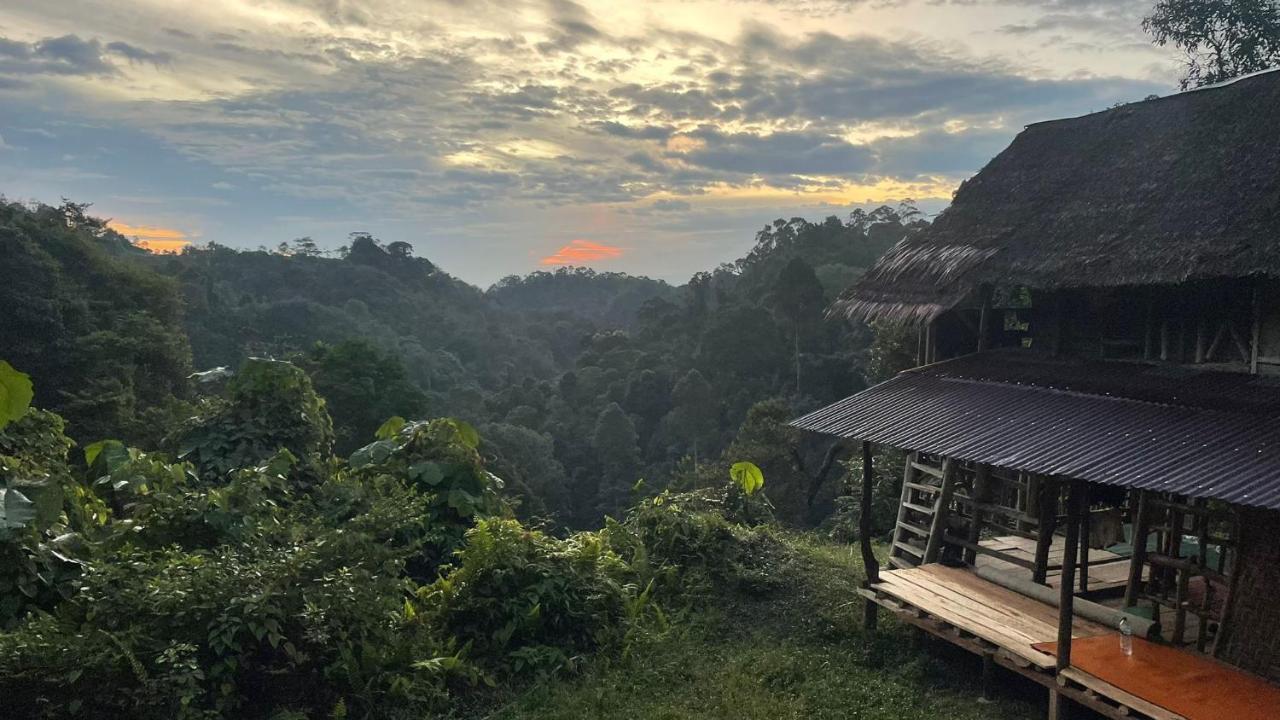 Orangutantreksumatra & Lovely Jungle Lodge Only Book If You Are Treking With Us Bukit Lawang Zewnętrze zdjęcie