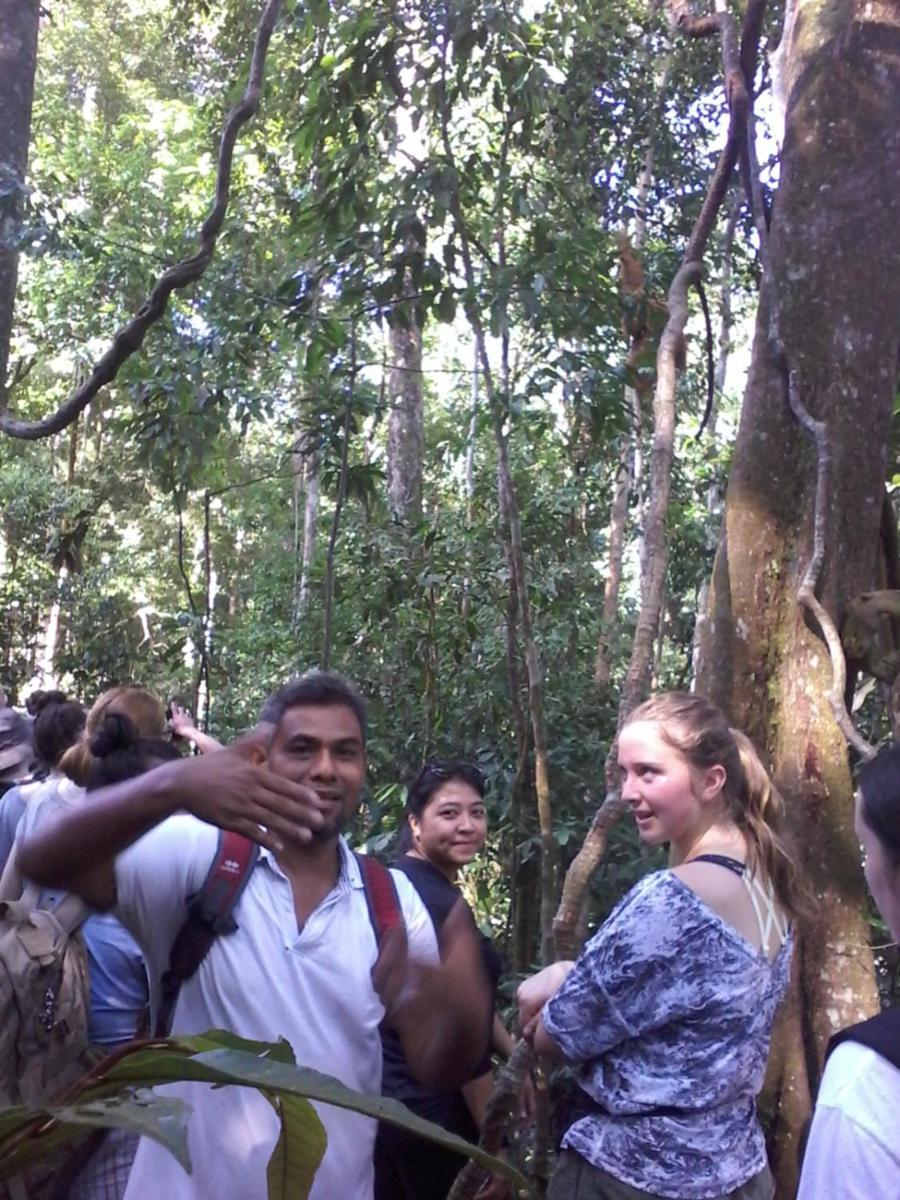 Orangutantreksumatra & Lovely Jungle Lodge Only Book If You Are Treking With Us Bukit Lawang Pokój zdjęcie