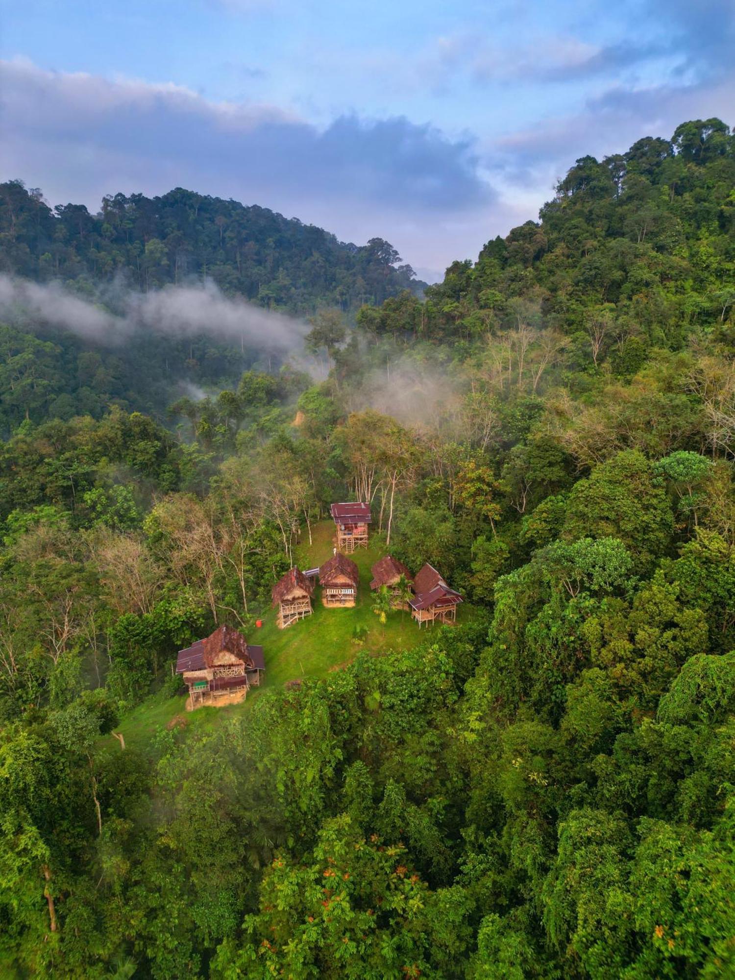 Orangutantreksumatra & Lovely Jungle Lodge Only Book If You Are Treking With Us Bukit Lawang Zewnętrze zdjęcie