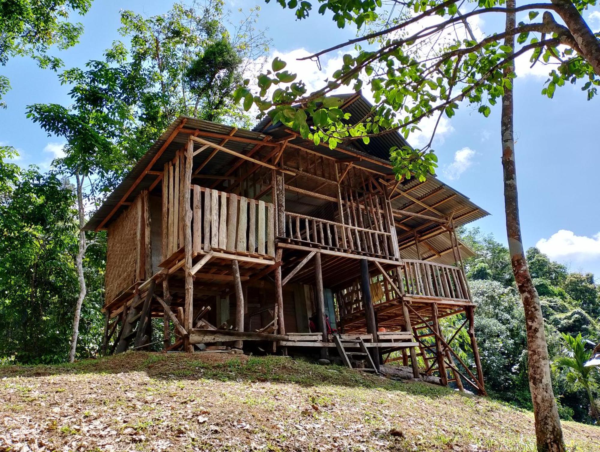 Orangutantreksumatra & Lovely Jungle Lodge Only Book If You Are Treking With Us Bukit Lawang Zewnętrze zdjęcie